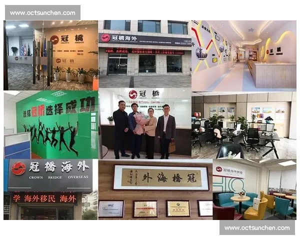 体育产业资本布局与多元化投资战略创新发展方案研究实践路径探索