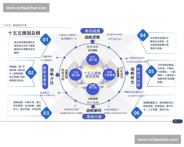 基于版本调整的策略与实施路径分析及未来发展趋势探讨